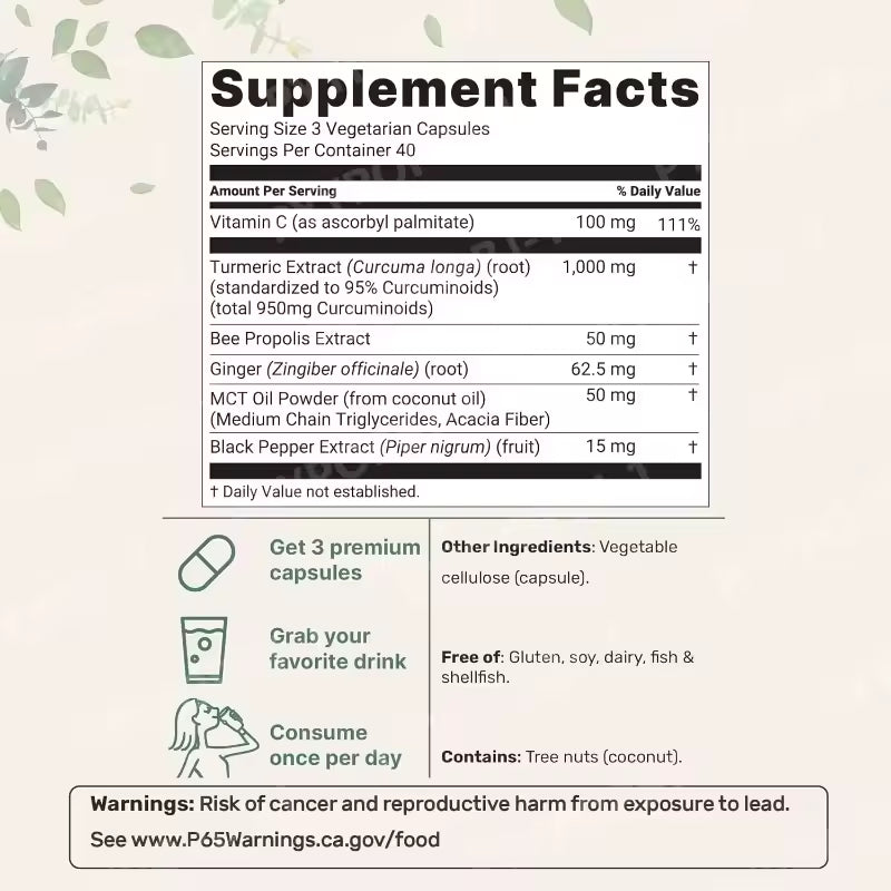 Turmeric Curcumin 95 (1000mg)