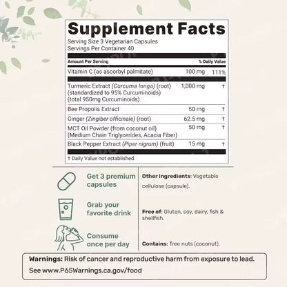 Turmeric Curcumin 95 (1000mg)